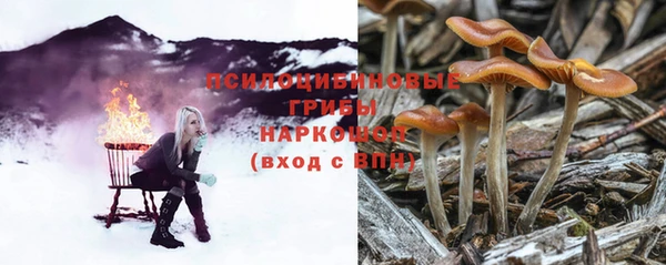 гашиш Арсеньев